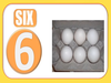 Snapshot Six Eggs Image